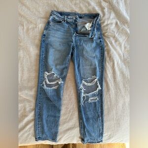 American Eagle Outfitters Strigid Mom Jean